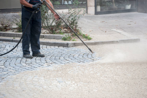 Animal Enclosure Cleaning